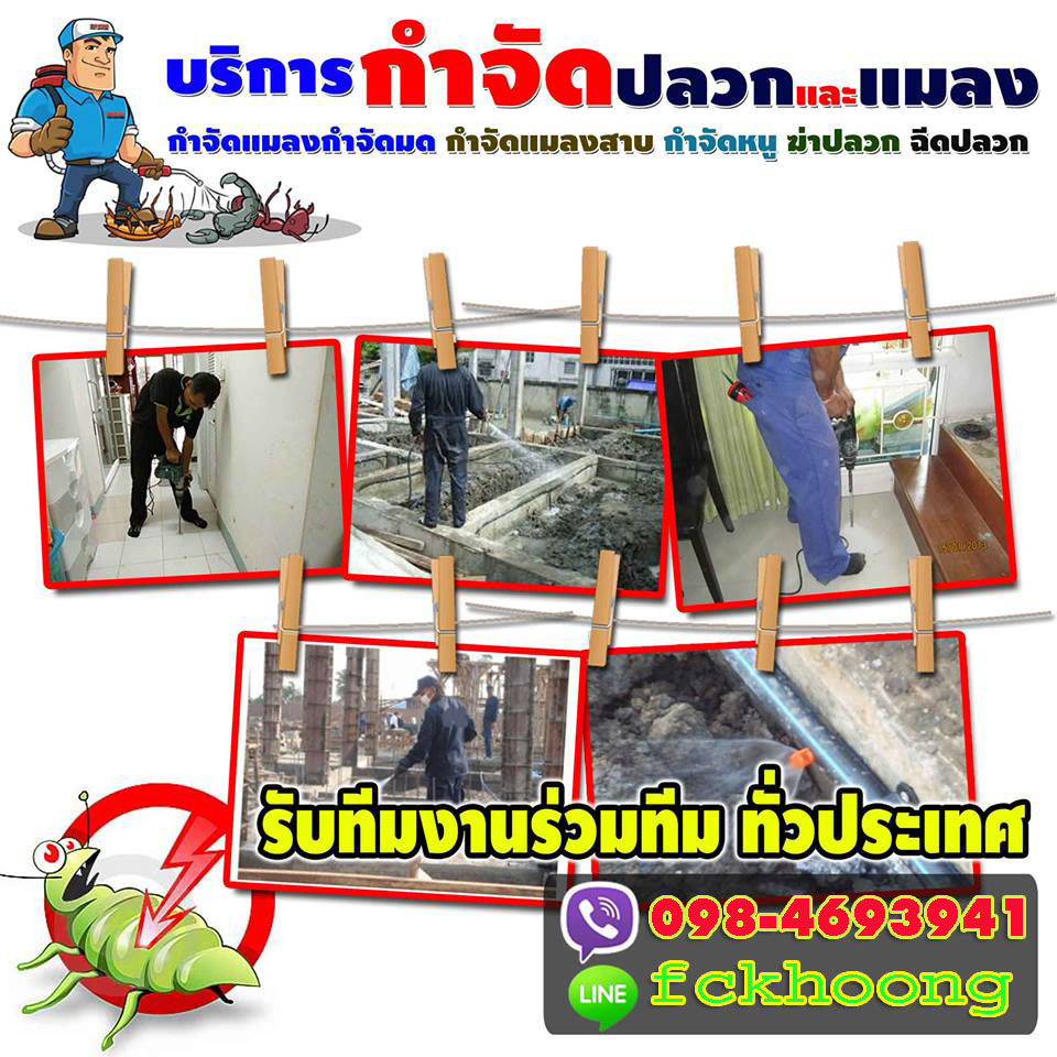 บริษัทฉีดปลวกพระนครศรีอยุธยา