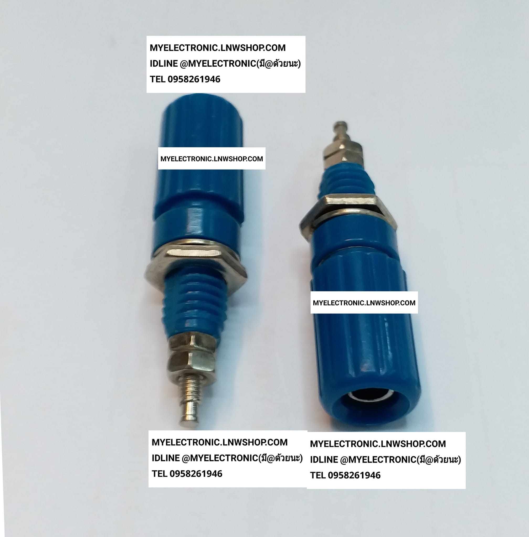ขาย แจ็คไบริ่งโฟสตัวเมีย สีน้ำเงิน JACK BIRINGPOS BLUE FEMALE แจ็คไบริ่งโฟส ตัวเมีย ยี่ห้อ ราคา ตัวละ . . . . หน่วย บาท