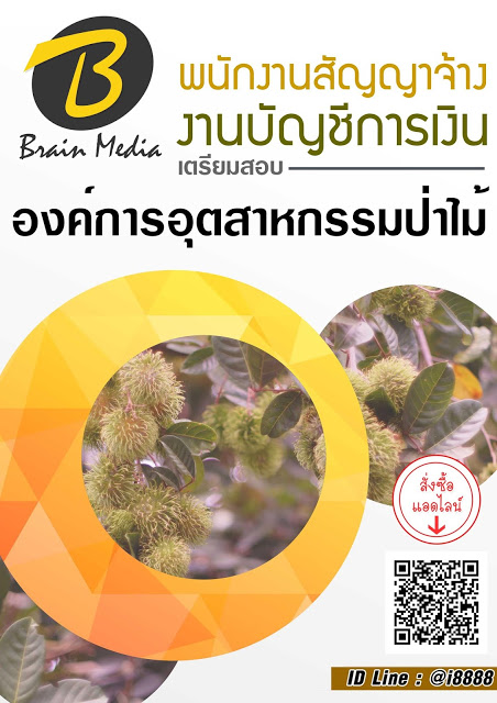 โหลดแนวข้อสอบ พนักงานสัญญาจ้าง งานบัญชีการเงิน องค์การอุตสาหกรรมป่าไม้