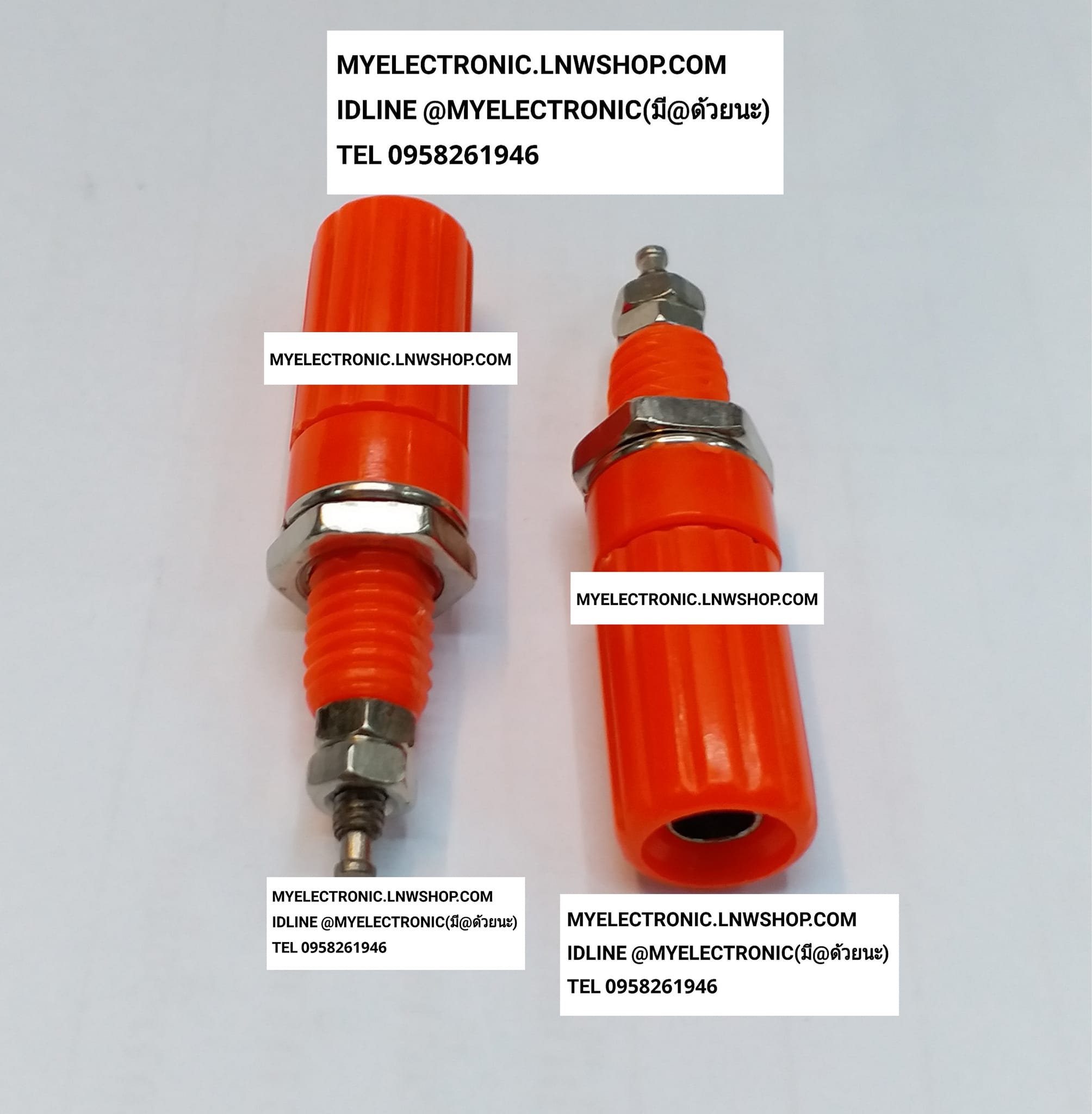 ขาย แจ็คไบริ่งโฟสตัวเมีย สีแดง JACK BIRINGPOS RED FEMALE แจ็คไบริ่งโฟส ตัวเมีย ยี่ห้อ ราคา ตัวละ . . . . หน่วย บาท