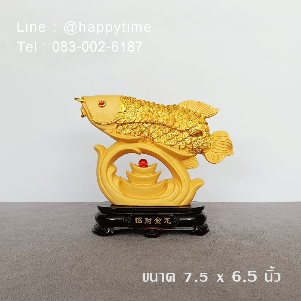 ปลามังกรทองเกร็ดเงิน คาบเหรียญ 7.5 x 6.5 นิ้ว
