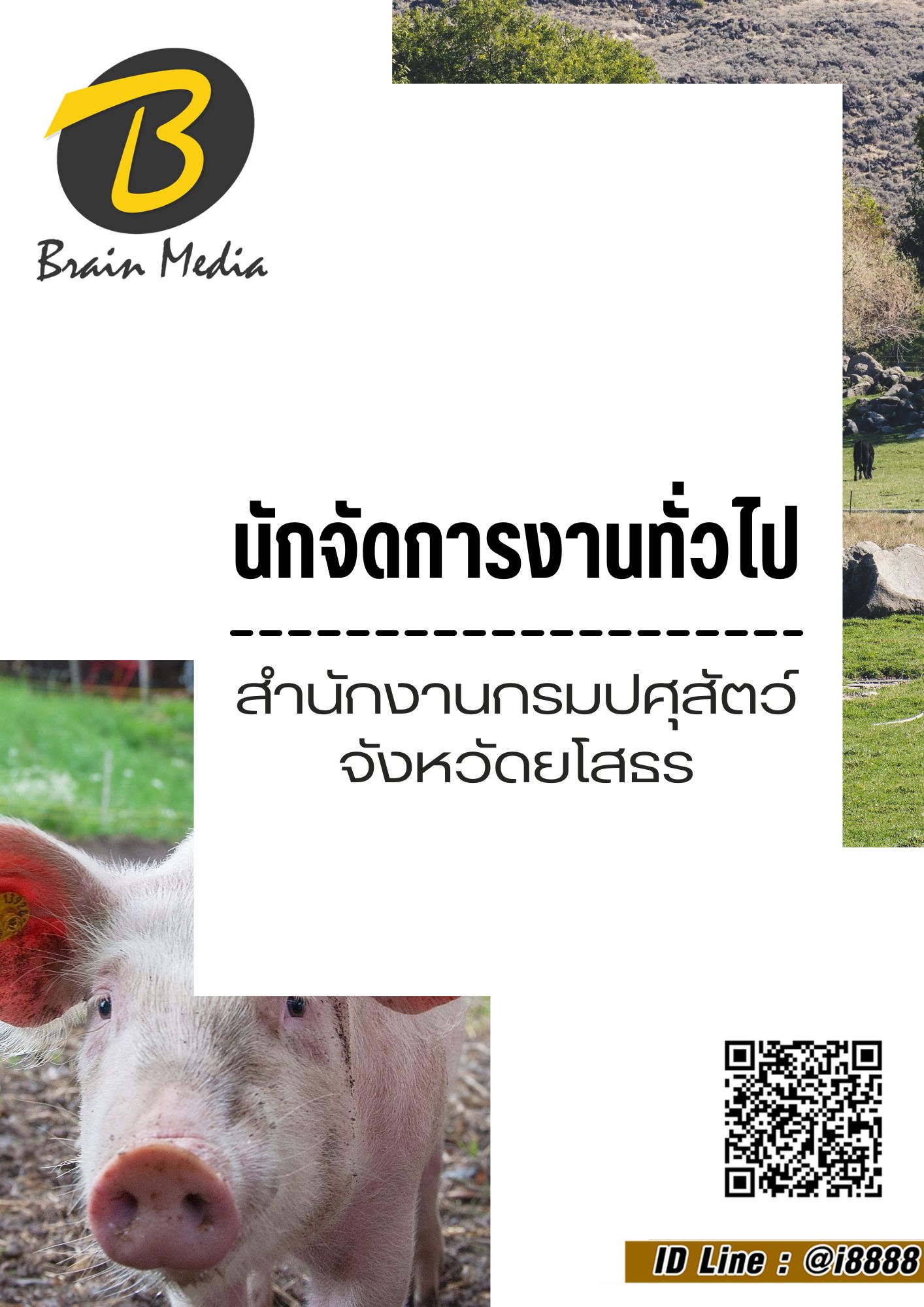 โหลดแนวข้อสอบ นักจัดการงานทั่วไป สำนักงานกรมปศุสัตว์จังหวัดยโสธร