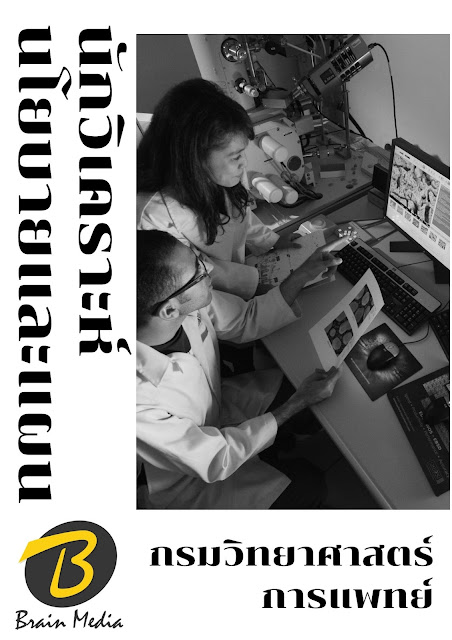 โหลดแนวข้อสอบ นักวิเคราะห์นโยบายและแผน กรมวิทยาศาสตร์การแพทย์