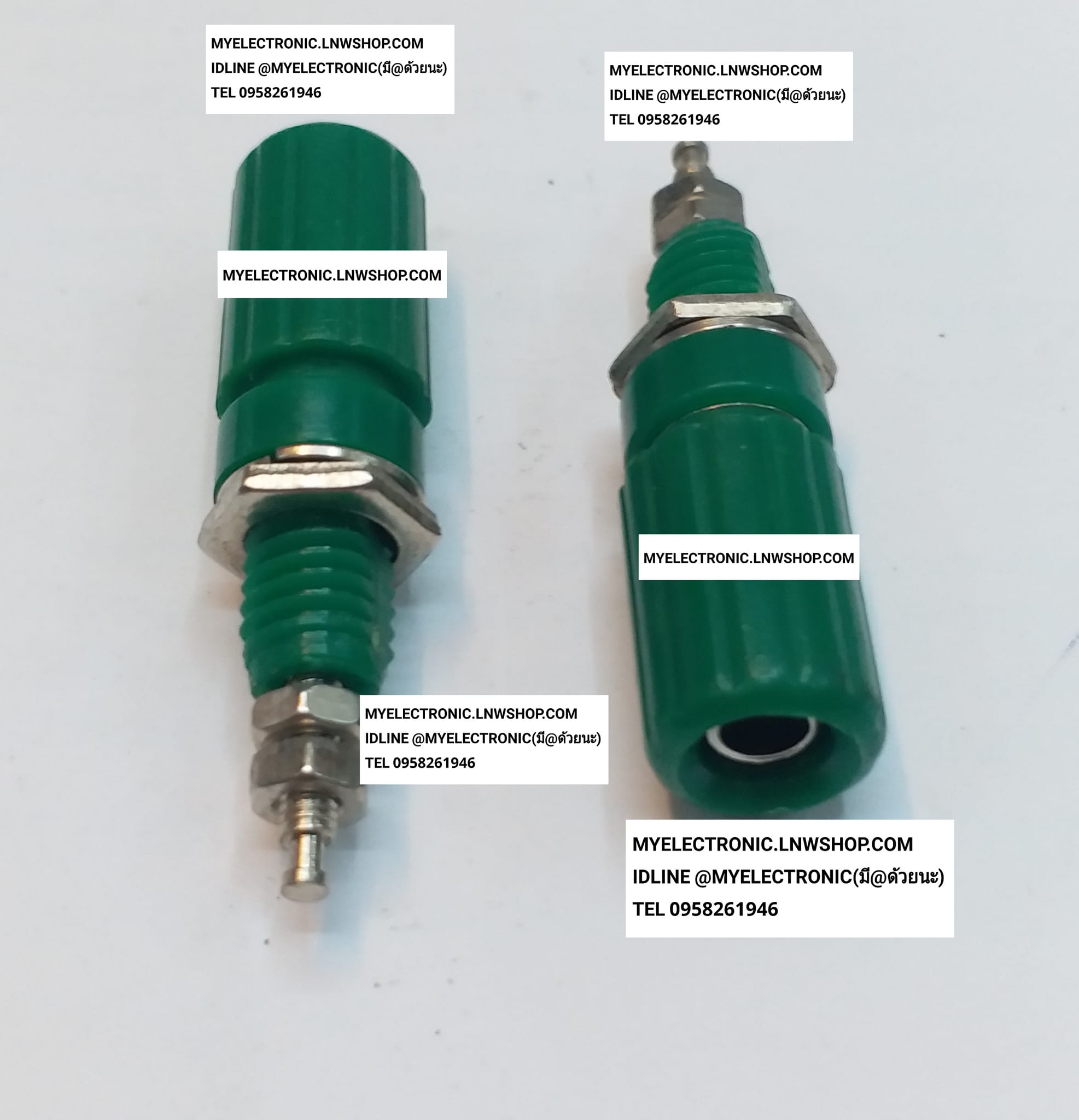 ขาย แจ็คไบริ่งโฟสตัวเมีย สีเขาย JACK BIRINGPOS GREEN FEMALE แจ็คไบริ่งโฟส ตัวเมีย ยี่ห้อ ราคา ตัวละ . . . . หน่วย บาท