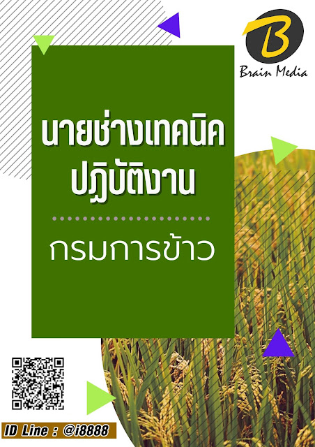 โหลดแนวข้อสอบ นายช่างเทคนิคปฏิบัติงาน กรมการข้าว
