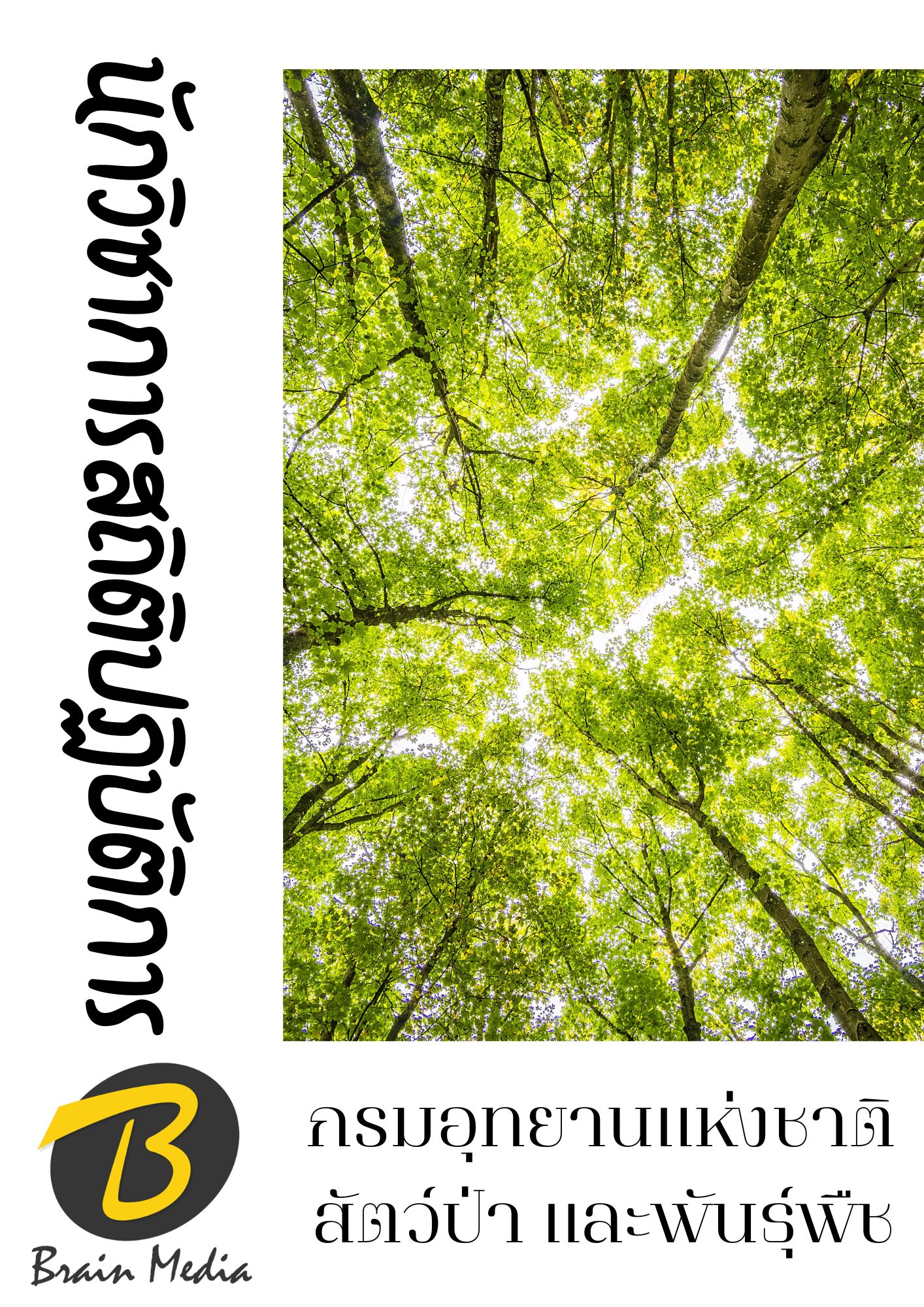 โหลดแนวข้อสอบ นักวิชาการสถิติปฏิบัติการ กรมอุทยานแห่งชาติ สัตว์ป่า และพันธุ์พืช