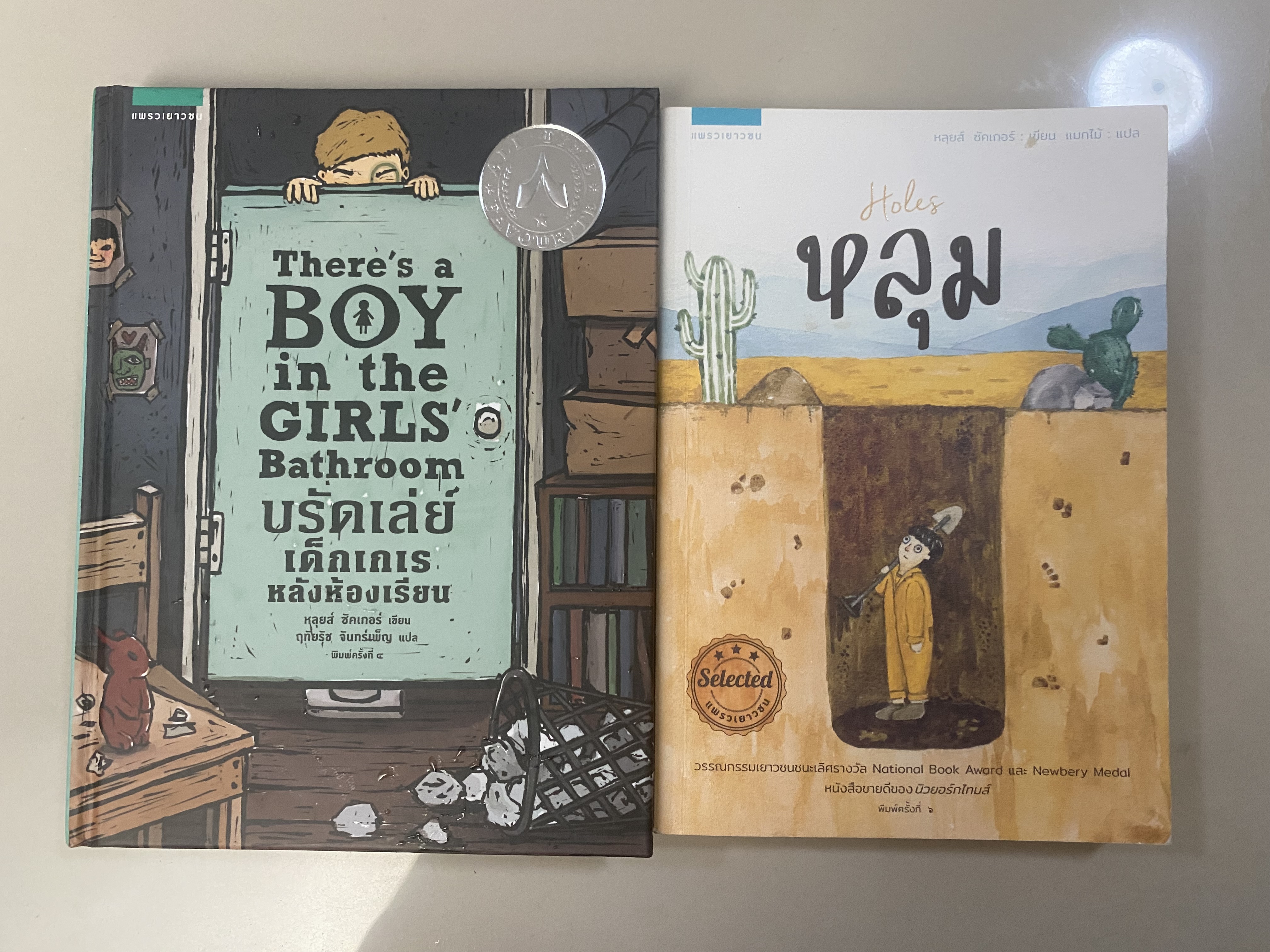บรัดเล่ย์ เด็กเกเรหลังห้องเรียน (There's a boy in the Girls'Bathroom), หลุม Holes โดย หลุยส์ ซัคเกอร์