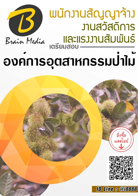โหลดแนวข้อสอบ พนักงานสัญญาจ้าง งานสวัสดิการและแรงงานสัมพันธ์ องค์การอุตสาหกรรมป่าไม้