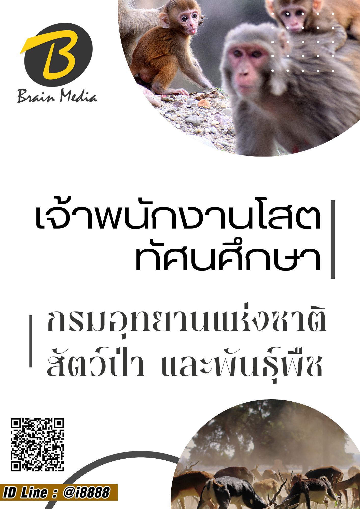 โหลดแนวข้อสอบ เจ้าพนักงานโสตทัศนศึกษา กรมอุทยานแห่งชาติ สัตว์ป่า และพันธุ์พืช