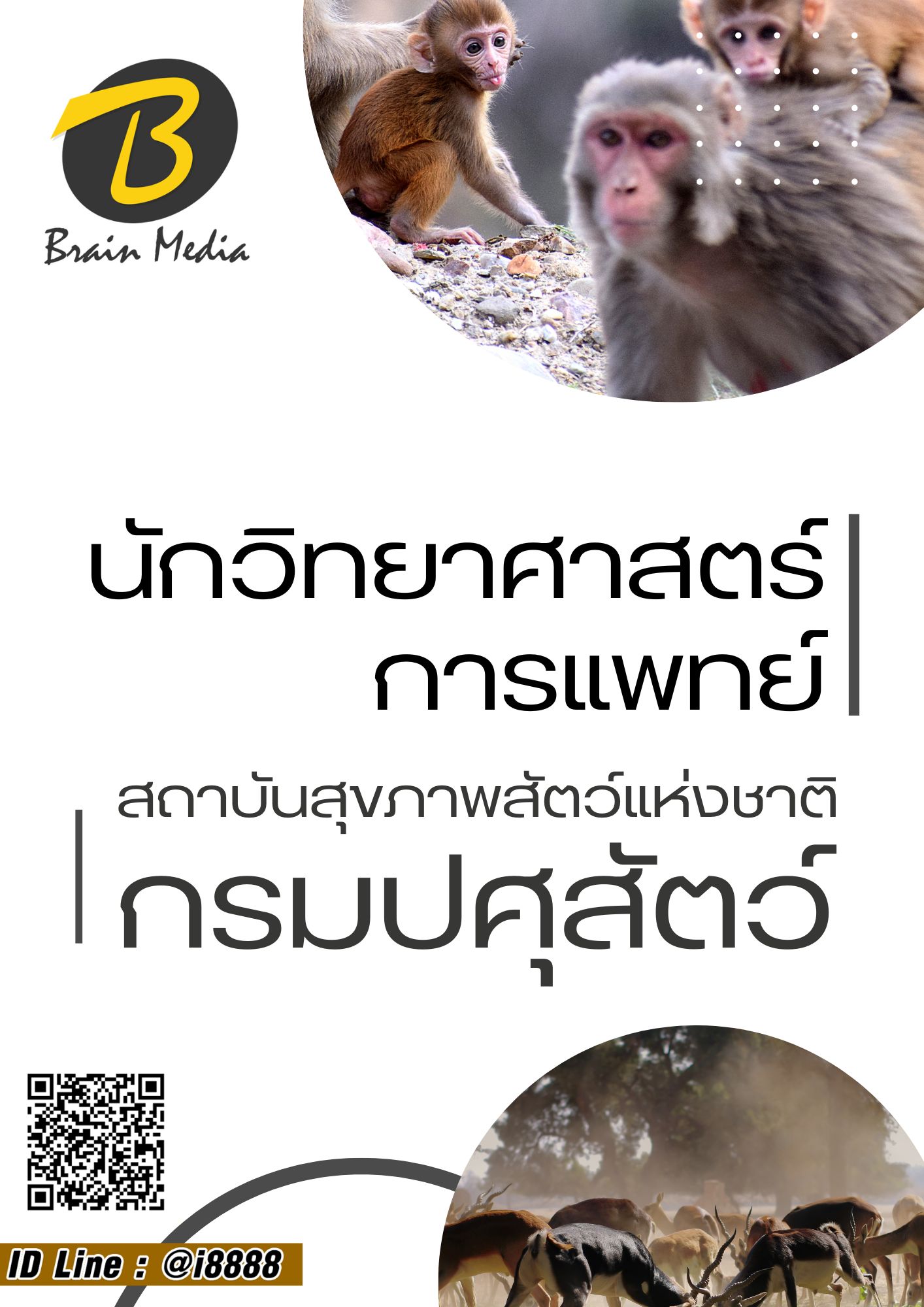 โหลดแนวข้อสอบ นักวิทยาศาสตร์การแพทย์ สถาบันสุขภาพสัตว์แห่งชาติ กรมปศุสัตว์