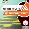 โหลดแนวข้อสอบ ผู้ช่วยนักวิชาการเกษตร กรมการข้าว
