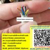 ขาย สายมัลติคอร์12คอแบบมีชีลด์ สายมัลติคอร์12คอ24AWG สายมัลติคอร์12P ราคาเมตรละ บาท มีหน้าร้านอยู่บ้านหม้อ กรุงเทพ ส่งของเร็ว มาซื้อหน้าร้านได้