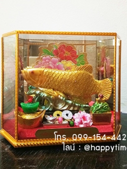 ปลามังกรทองในครอบแก้ว ไซส์ 9 นิ้ว