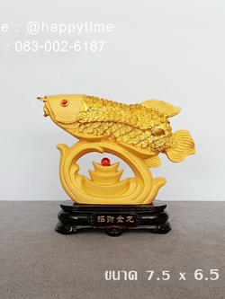 ปลามังกรทองเกร็ดเงิน คาบเหรียญ 7.5 x 6.5 นิ้ว