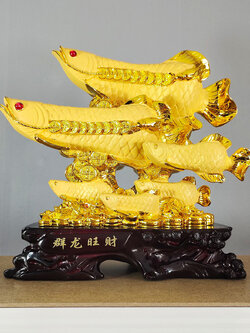 ปลามังกรมงคล ของขวัญขึ้นบ้านใหม่ สวยๆดูดี