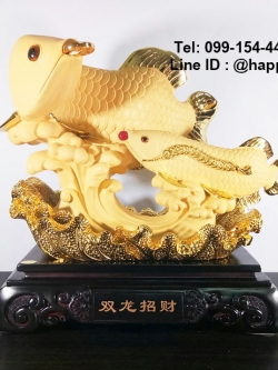 ปลามังกรมงคลคาบเหรียญ ไซส์ 14 นิ้ว