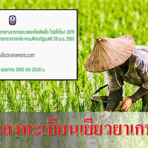 ((แชร์ด่วน)) เตรียมตัวให้พร้อม www.เยียวยาเกษตรกร.com เปิดให้ลงทะเบียน 2 ทุ่มวันนี้