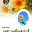 โหลดแนวข้อสอบ ผู้ช่วยนายช่างเครื่องกล เทศบาลเมืองสระบุรี