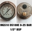 4 นิ้ว 0-25BAR (350PSI) ออกหลังหน้าแปลน เกลียว 1/2" BSP ทองเหลือง