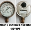 4 นิ้ว 0-160BAR (0-2200PSI) ออกล่าง 1/2" ทองเหลือง NPT