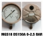 6 นิ้ว 0-2.5 BAR ออกล่าง เกลียว 1/2" NPT สแตนเลส(แบบแห้ง)