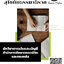 โหลดแนวข้อสอบ นักวิชาการเงินและบัญชี สำนักการศึกษาตลอดชีวิต และกองคลัง มหาวิทยาลัยสุโขทัยธรรมาธิราช