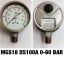 4 นิ้ว 0-60BAR (800PSI) ออกล่าง 1/2" สแตนเลส NPT