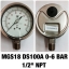 4 นิ้ว 0-6BAR (80PSI) ออกล่าง 1/2" สแตนเลส NPT