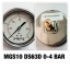 2.5 นิ้ว 0-4BAR (50PSI) ออกหลัง เกลียว 1/4" BSP ทองเหลือง