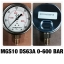 2.5 นิ้ว 0-600 BAR (8700PSI) ออกล่าง เกลียว 1/4" BSP ทองเหลือง