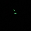 CAT ANADIGIT MILITARY GREEN MA.155.23.133
